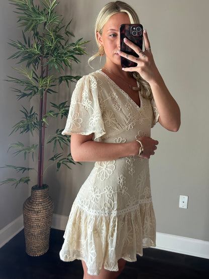 Eden Lace Mini Dress