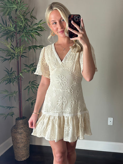 Eden Lace Mini Dress
